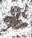 Click To Enlarge Picture